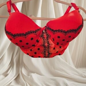 Smart and Sexy Red Bra